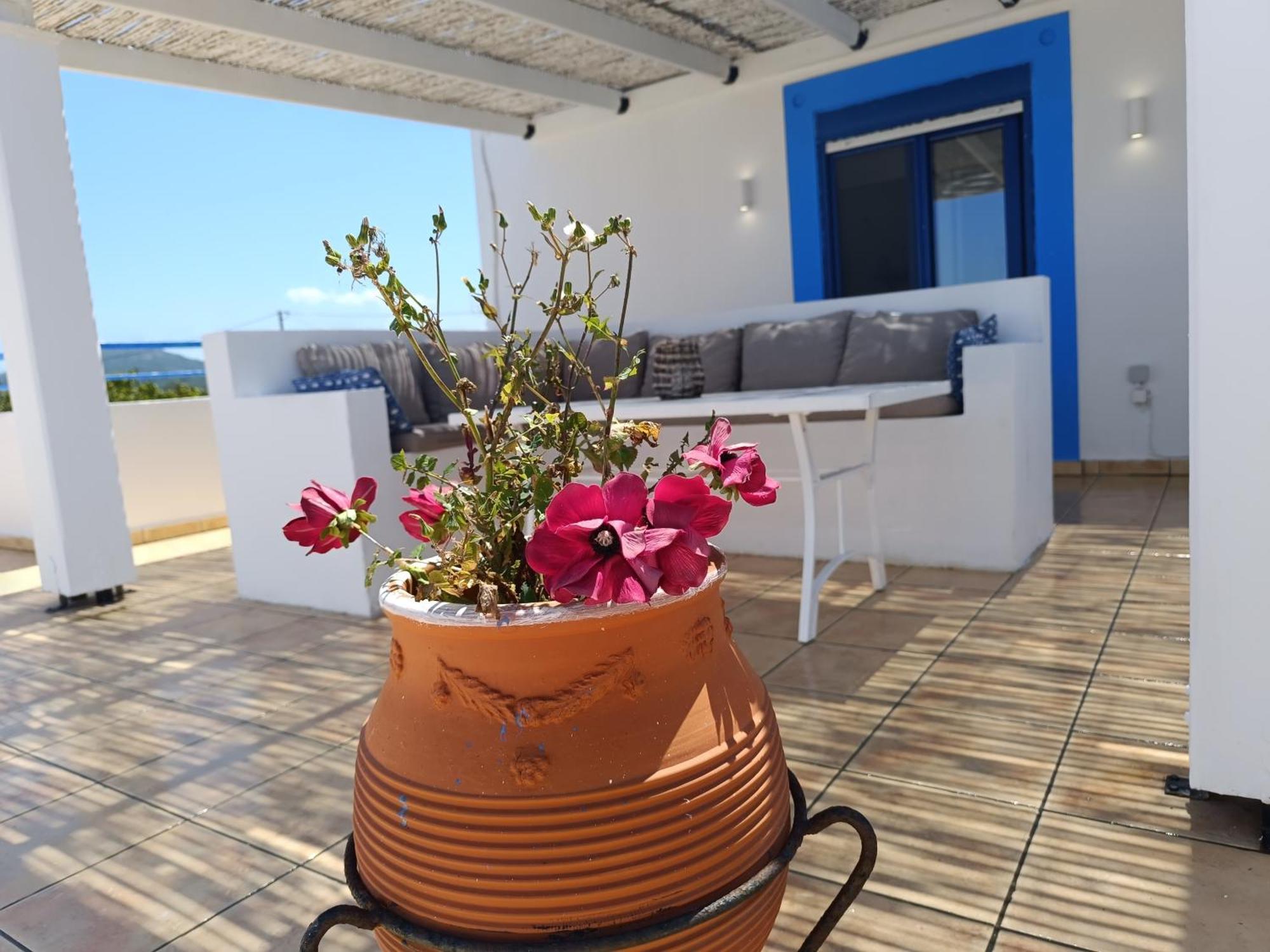 Nautilus Beach House Paradisi  Exterior photo